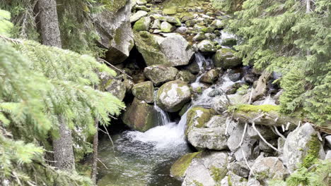 Toma-En-Movimiento-De-Una-Cascada-En-La-Montaña-Retezat-En-El-Bosque-De-Los-Cárpatos,-Rumania