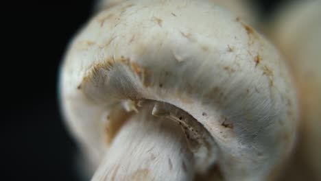 Macro-video-of-a-pile-of-mushrooms,-detailed-RAW-champignons,-white-caps,-on-a-rotating-stand,-smooth-movement,-slow-motion-120fps