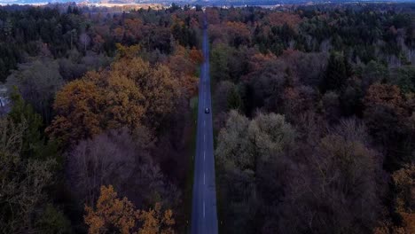 Top-down-drone-shot,-road-with-car-in-forest-autumn