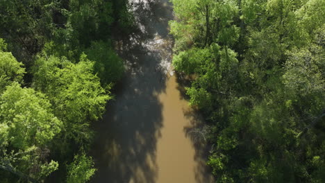 Stream-Flowing-Through-Wooded-Forest-In-Wolf-River-In-Shelby-County,-Tennessee,-USA