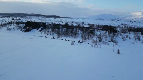 Drohnenaufnahme-Eines-Hundeschlittens-In-Tromsø,-Norwegen-Im-Winter-Mit-Schnee