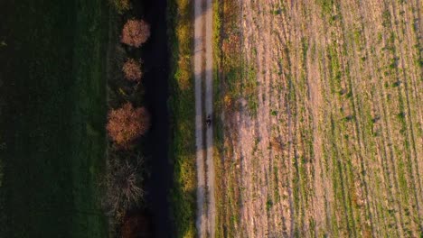 moped-in-the-golden-hour-on-a-gravel-path-top-down-droneshot