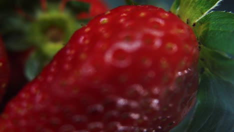 Makro-Detailvideo-Eines-Erdbeerhaufens,-Rote-Erdbeere,-Grünes-Blatt,-Winzige-Samen,-Auf-Einem-Rotierenden-Reflexionsständer,-Sanfte-Bewegung