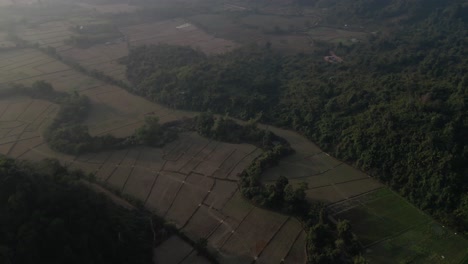 aerial-view-of-farm-fields-in-Vang-Vieng,-the-adventure-capital-of-Laos