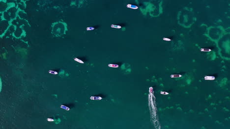 Top-down-aerial-view-of-a-speedboat-smoothly-moving-between-other-moored-boats-in-shallow-waters