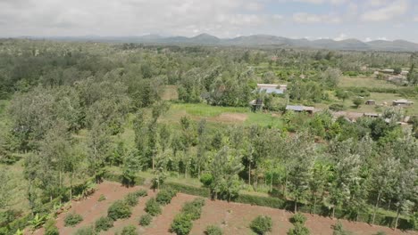 Drone-Sobre-Tierras-Agrícolas-Con-árboles-Y-Cultivos-En-Meru,-Kenia