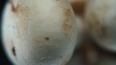 Macro-detailed-video-of-a-pile-of-mushrooms,-RAW-champignons,-white-caps,-on-a-rotating-stand,-smooth-movement,-slow-motion-120fps