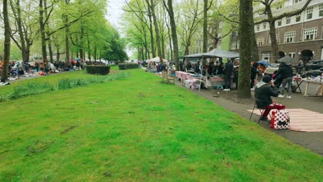 Amsterdam-Apollolaan-King's-day-flea-market-in-upperclass-ave-with-green-trees-and-grass