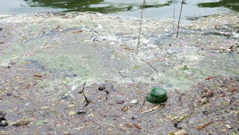 Botella-De-Vidrio-Verde-En-Agua-Contaminada,-Estanque-Sucio-Lleno-De-Basura