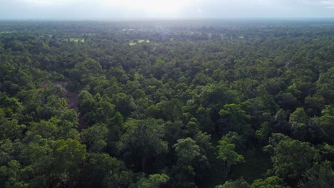 Una-Antena-Ascendente-Revela-Una-Vasta-Jungla-Brumosa-En-Koh-Ker,-En-El-Norte-De-Camboya.