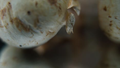 Macro-video-of-a-pile-of-mushrooms,-RAW-champignons,-WHITE-CAPS,-on-a-rotating-stand,-smooth-movement,-slow-motion-120-fps