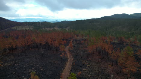 Luftaufnahme-Aus-Der-Vogelperspektive-über-Einem-Pfad-Im-Abgebrannten-Bergwald