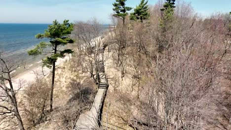 Reverse-track-and-descend-with-drone-near-pines