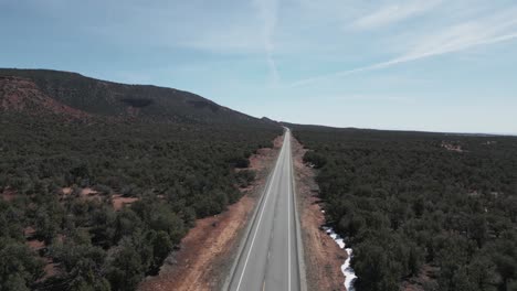 Asphalt-Highway-Passing-Through-Forested-Landscape-In-Utah,-USA