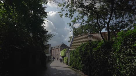 Wassenaar-traditional-Dutch-village-in-the-Netherlands-green-street-view-during-summer