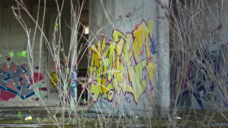 Urban-art-on-decay:-Graffiti-colors-clash-with-nature's-reclaim-at-an-abandoned-hospital-in-Zagreb,-Croatia