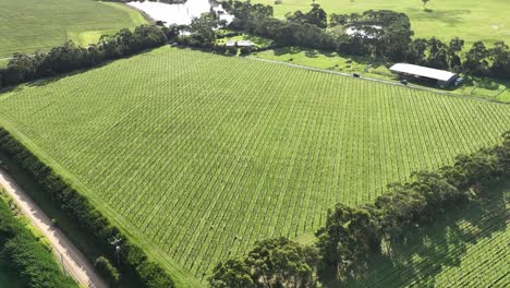 Drone-track-around-small-farm