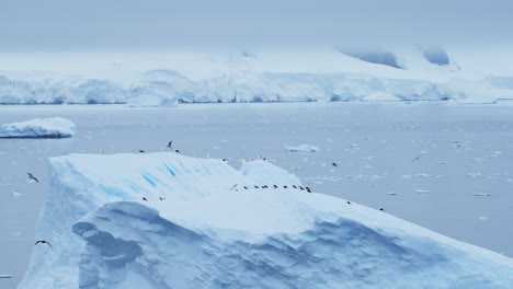 Flock-of-Birds-Flying-in-Antarctica-Landscape,-Seabirds-in-Flight-Flying-Past-Icebergs-and-a-Glacier-in-Winter-Scenery-with-Amazing-Beautiful-Dramatic-Ice-Covered-and-Snowy-Snow-Covered-Scene