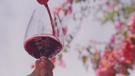 Red-wine-pouring-into-glass-against-blooming-flowers,-hand-held,-soft-focus-on-background,-daytime
