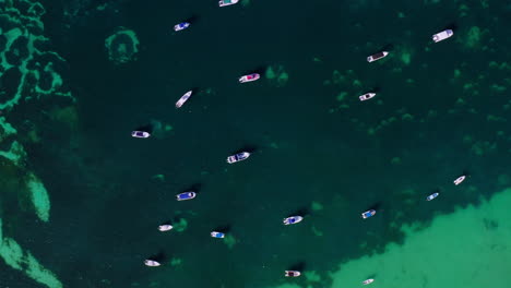 Drone-shot-revealing-dozens-of-boats-parked-in-shallow-waters-in-the-Indian-Ocean,-Seychelles