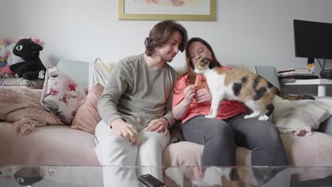 Family-relationship-together,-domestic-feline-pet-eating,-slow-motion