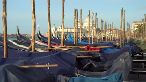 Góndolas-Flotantes-Atadas-A-Un-Poste-De-Madera-En-Venecia-Temprano-En-La-Mañana