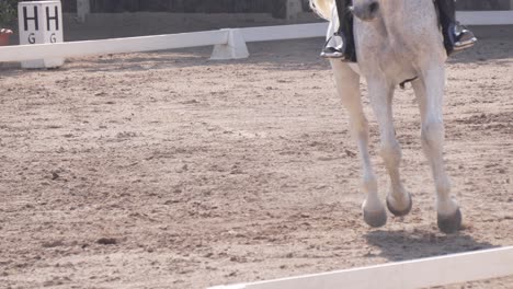 Cámara-Lenta-De-Un-Caballo-Blanco-En-Competencia-Ecuestre,-Tegucigalpa,-Honduras