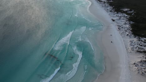 Vehículos-Circulando-Por-Wharton-Beach,-Australia-Occidental