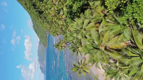 Vertical-shot-of-Playa-Ermitano-In-Samana,-Dominican-Republic