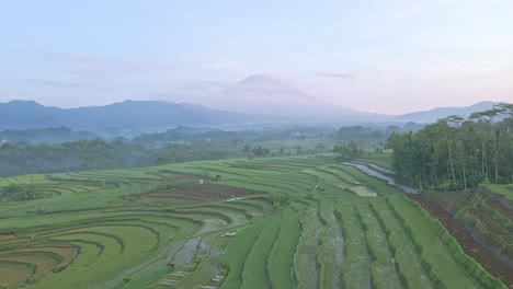 Ländliche-Landschaft-In-Indonesien-Mit-Den-Terrassierten-Hängen-Der-Reisfelder