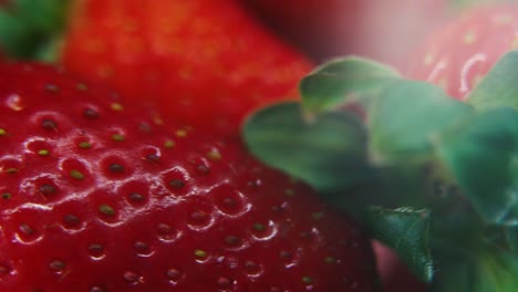 Macro-detailed-video-of-a-pile-of-strawberries,-giant-red-strawberry,-green-fruit,-tiny-seeds,-on-a-rotating-reflection-stand,-smooth-movement