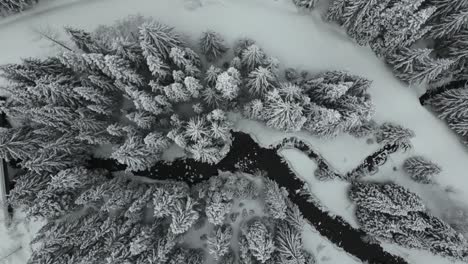 Winter-wonderland-scenery-of-woodland-and-extreme-weather,-Idaho,-USA