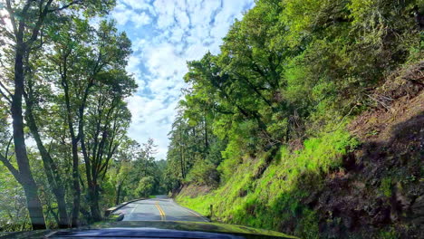 Conduciendo-Por-Una-Carretera-Serpenteante-En-El-Bosque-Bosque-Día-Soleado-Conductor-Pov