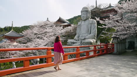 Mujer-Del-Templo-Jizoson-Caminando-Hacia-El-Gran-Salón-De-Piedra-En-Tsubosaka-dera-En-Primavera-En-Japón