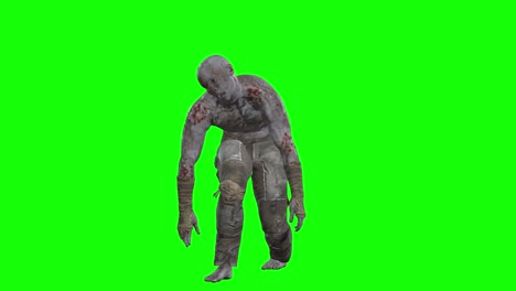 3D-male-zombie-walking-on-green-screen-seamless-loop-3D-animation,-front-view