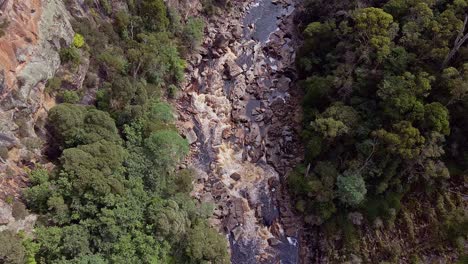 Aerial-drone-top-down-shot-flying-over-river-flowing-through-Laven-Canyon,-Tasmania,-Australia-on-a-bright-sunny-day