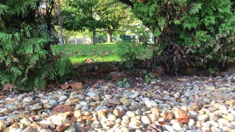 Perspectiva-Cercana-De-Las-Piedras-De-Guijarros-En-Primer-Plano.