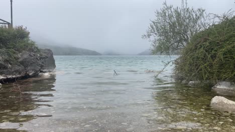 storm,-wind-and-snowflakes-at-Fuschelsee-in-Austria