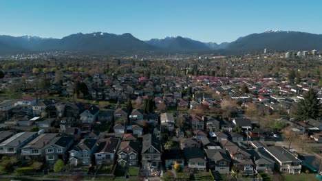 aerial-shot-over-vancouver-city-neighborhood-dunring-cherry-blossom-season-with-the-mountains-in-the-background-on-a-sunny-day,-burnaby-suburban-area,-british-columbia,-canada