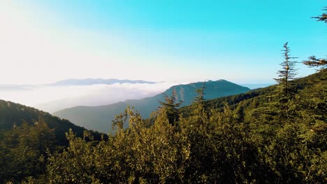 Panorama-Der-Natur-In-Den-Bergen-Algeriens