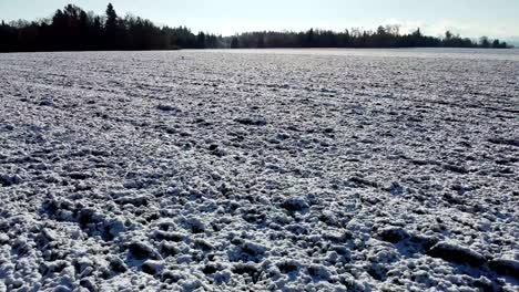 Schneebedecktes-Feld-Im-Winter-Schnelle-Spektakuläre-Drohnenaufnahme