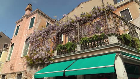 Venice-City-is-Filled-with-Many-Ancient-Beautiful-Houses-which-Has-Flowers-Growing-on-Top-of-Them