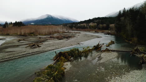 Süßwasser-Fließt-Durch-Den-Hoh-River-Auf-Der-Olympic-Halbinsel,-Washington,-USA