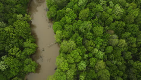 Río-Wolf-Serpenteando-A-Través-De-Una-Exuberante-Vegetación-En-Collierville,-Tennessee,-Escena-Natural-Serena,-Vista-Aérea