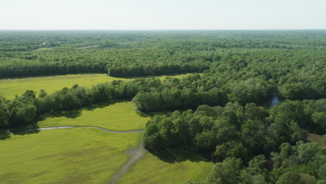 Wolf-River-Fließt-Durch-üppiges-Grün-In-Collierville,-Tennessee,-Ruhige-Landschaft,-Luftaufnahme
