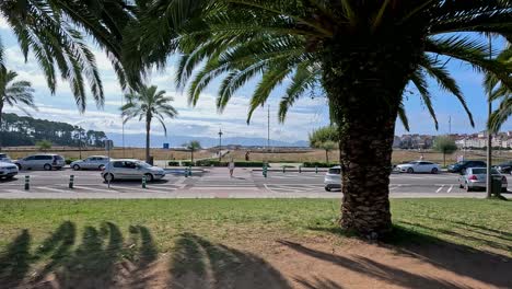 Una-Mujer-Cruza-Un-Cruce-De-Peatones-Y-Coches-Respetuosos-Se-Detienen-Frente-A-Ella-En-Un-Día-Soleado-De-Verano-Con-Palmeras-Y-El-Mar-Al-Fondo,-Panorámica-Descriptiva