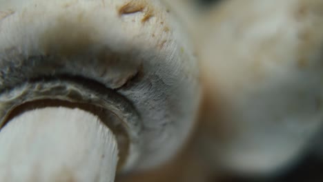 Macro-realistic-video-of-a-pile-of-mushrooms,-detailed-RAW-champignons,-white-caps-reflection,-on-a-rotating-stand,-smooth-movement,-slow-motion-120fps