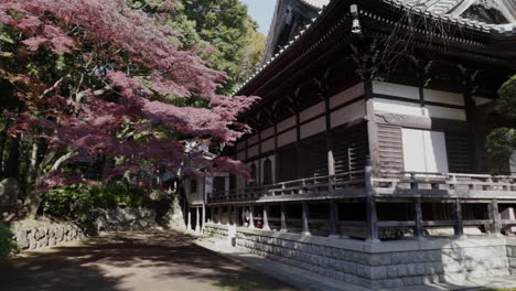 Ein-Morgen-Im-Senpoji-Tempel-In-Tokio,-Japan