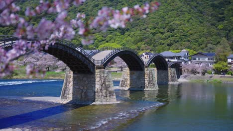 Sakura-Flowers-Bloom-over-Kintaikyo-Bridge,-Iwakuni-Japan-on-Sunny-Day