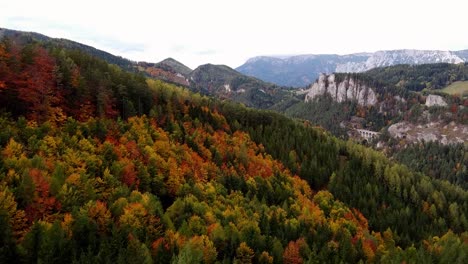 beautiful-autumn-forest-in-the-mountains-aerial-droneshot